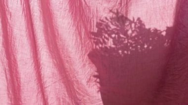Pencerede pembe keten perdelerin arkasına saksı gölgesi koy. Odadaki sabah güneşi arka planı örtüyor. Ev çiçekleri dalları bırakır rüzgarda sallanan siluet Dairenin iç dizaynı 4K