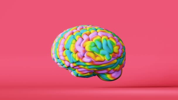 Colorful Rainbow Human Brain Animation Pink Lgbt Pride Symbol Color — Stok video
