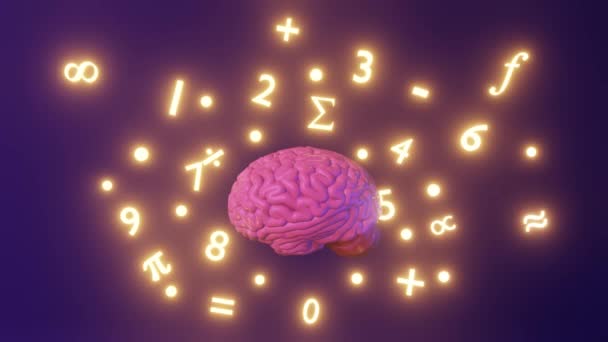 Das Menschliche Gehirn Nummeriert Mathematische Symbole Animationsschleife Internationaler Tag Der — Stockvideo