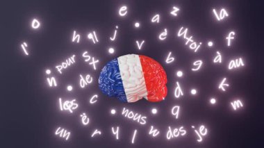 French Learning Foreign language fluency improvement Human brain glowing letters articles words 3d animation Studying Native speakers Memory. Online course education Expression Idiom Listening Reading