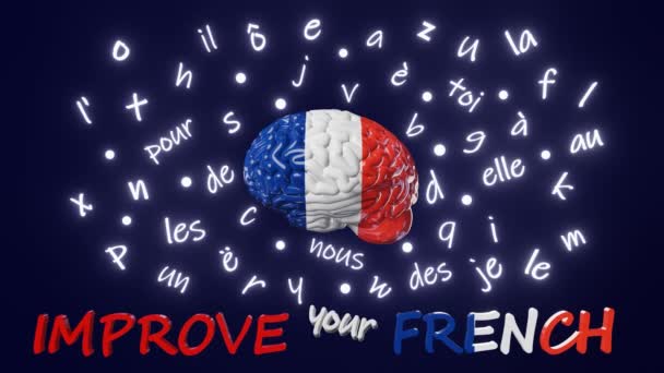 Improve Your French Learning Foreign Language Fluency Improvement Human Brain – Stock-video