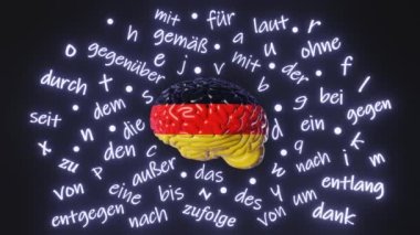 German language learning exam 3d animation loop Deutsch fluency improve. Human brain Germany flag color letters articles words Studying Native speaker teacher Online course education Listening Reading