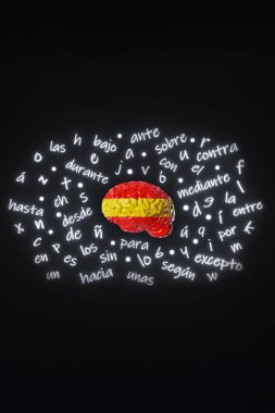 Spanish Learning Foreign language Human brain Spain flag color Letters articles word preposition vocabulary grammar 3d rendering. Studying Online course education Listening Reading Fluency improvement