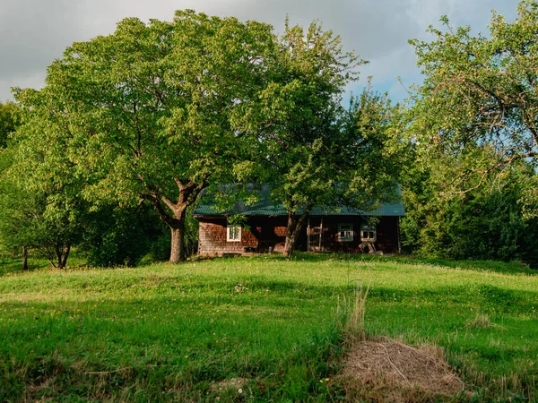 欧洲乌克兰喀尔巴阡山脉的一座古老而真实的木制房子 风景秀丽的绿杉树阳光明媚的日子生态当地乡村旅游徒步旅行森林小径库塔戈里扎卡巴提亚地区旅行 — 图库照片
