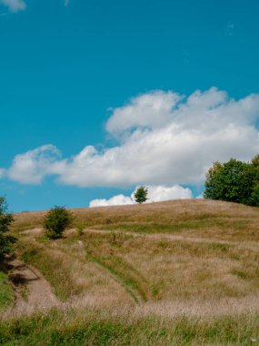 Zakarpattya bölgesinde eski otantik ahşap evleri olan köy Karpat dağları Ukrayna, Avrupa 'ya bakıyor. Manzaralı yeşil çam ağaçları güneşli bir günde Cottagecore 'da gezen Çevre Turizmi