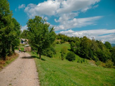 Zakarpattya köyü Karpat Dağları 'nda aile yürüyüşü Ukrayna Avrupa manzarası yeşil ladin ağaçlarını güneşli bir gün olan Eco Yerel Turizm' e yansıtır. Cottagecore 'da köpek gezdiren baba ve kız.