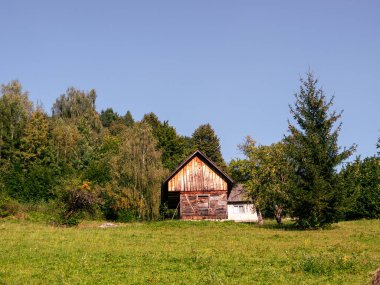 Karpat Dağları 'nın Ukrayna köyü Avrupa' da samanlığı olan eski otantik ahşap kır evi. Manzaralı yeşil çim elma ladin ağaçları. Çevre turizmi orman yollarında yürüyüş yapıyor. Cottagecore