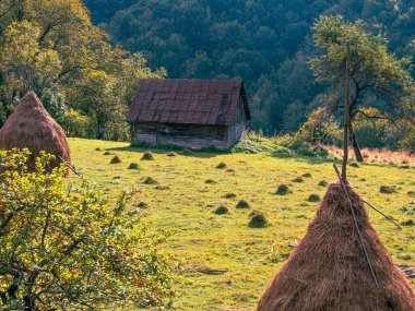 Karpatlar 'ın Ukrayna, Avrupa, Transcarpathia bölgesinde samanlığı olan eski otantik ahşap bir ev. Yerel kırsal seyahat orman yürüyüş yolları. Cottagecore tarzı tatil. Çevre turizmi.