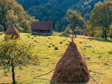 Karpatlar 'ın Ukrayna, Avrupa, Transcarpathia bölgesinde samanlığı olan eski otantik ahşap bir ev. Yerel kırsal seyahat orman yürüyüş yolları. Cottagecore tarzı tatil. Çevre turizmi.
