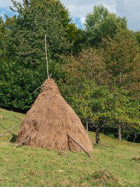 Karpatlar 'ın Ukrayna, Avrupa, Transcarpathia bölgesinde samanlığı olan eski otantik ahşap bir ev. Yerel kırsal seyahat orman yürüyüş yolları. Cottagecore tarzı tatil. Çevre turizmi.