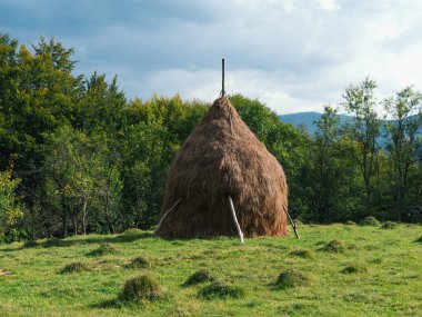 Karpatlar 'ın Ukrayna, Avrupa, Transcarpathia bölgesinde samanlığı olan eski otantik ahşap bir ev. Yerel kırsal seyahat orman yürüyüş yolları. Cottagecore tarzı tatil. Çevre turizmi.