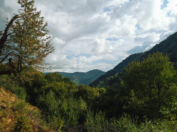 Village Transcarpathia Regionen Natursköna Karpaterna Utsikt Över Ukraina Europa Höstens — Stockfoto