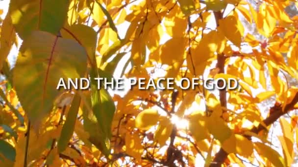 Citas Inspiradoras Biblia Para Los Creyentes Otoño Deja Fondo Naturaleza — Vídeo de stock