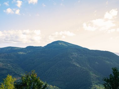 Transcarpathia bölgesindeki köy Ukrayna, Avrupa manzaralı Karpatlar 'a bakıyor. Sonbahar kırsal bölgeleri çam ağaçlarıyla kaplanır. Eko Yerel Turizm Eğlence Faaliyetlerinde Yürüyüş