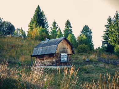 Modern küçük ahşap ev ormanı manzaralı Karpatlar, Transcarpathia bölgesi, Ukrayna, Avrupa. Yeşil çimenli çim çam ağaçları olan gezginler için mükemmel küçük kulübe kiralama evleri.