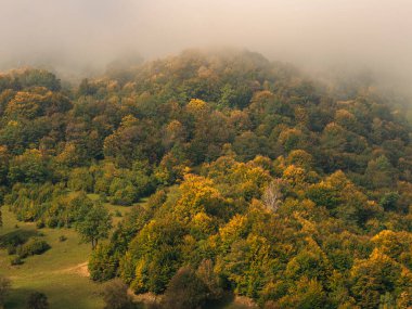 Karpat Dağları 'nın puslu ve sisli manzarası. Transcarpathia bölgesindeki Foggy Spruce çam ağaçları orman manzaralı Ukrayna, Avrupa. Sonbahar kırsal Eko Yerel Turizm Eğlence Faaliyetleri