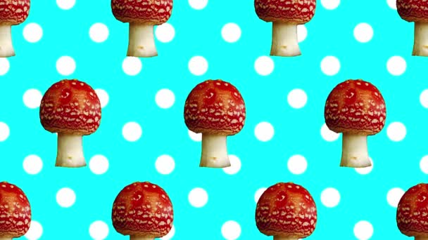 Fly Agaric Mushroom Stop Motion Graphic Animation Rainbow Color Background — Stock Video