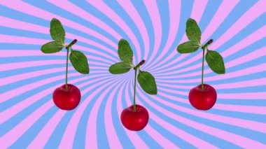 Dans eden kiraz meyveli günışığı müzik DJ arka plan gökkuşağı renk döngüsü 4K animasyonu. Retro stili renkli renkli hippi çizgi filmi yaz dur hareketi grafiksel geçiş çok renkli güneş ışığı çizgileri