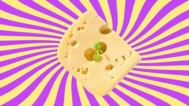 Yaratıcı peynir stop motion grafik renkli güneş patlaması arka planı. Lezzetli bir parça Maasdam İsviçre peyniri, Hollanda ya da İtalyan sert peyniri. Çiftlik ürünü modern reklam Pizza Fast Food tanıtımı