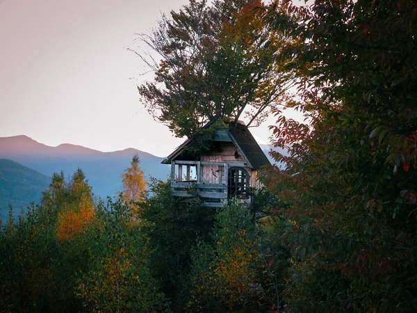 Tree house for kids in Transcarpathia village scenic Carpathian mountains view Ukraine Europe. Wooden treehouse in autumn forest Playhouse Eco Local tourism countryside landscape Recreational Vacation