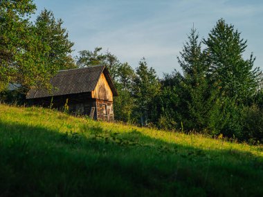 Karpatlar 'ın Ukrayna, Avrupa, Transcarpathia bölgesinde samanlığı olan eski otantik ahşap bir ev. Yerel kırsal seyahat orman yürüyüş yolları. Cottagecore tarzı tatil. Çevre turizmi.