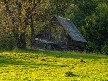 Karpatlar 'ın Ukrayna, Avrupa, Transcarpathia bölgesinde samanlığı olan eski otantik ahşap bir ev. Yerel kırsal seyahat orman yürüyüş yolları. Cottagecore tarzı tatil. Çevre turizmi.