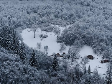Beyaz karla kaplı ladin ormanı Puslu kış Karpat Dağları manzaralı. Karpatlar 'da sisli karlı çam ağaçları. Transcarpathia Ukrayna 'daki Manzaralı Ahşap Köy