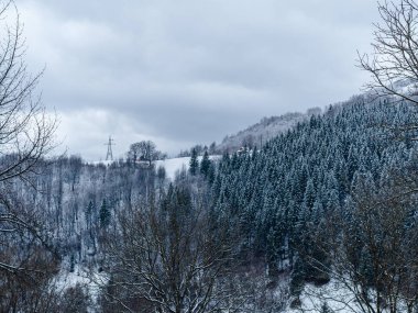 Beyaz karla kaplı ladin ormanı Puslu kış Karpat Dağları manzaralı. Karpatlar 'da sisli karlı çam ağaçları. Transcarpathia Ukrayna 'daki Manzaralı Ahşap Köy