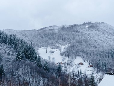 Beyaz karla kaplı ladin ormanı Puslu kış Karpat Dağları manzaralı. Karpatlar 'da sisli karlı çam ağaçları. Transcarpathia Ukrayna 'daki Manzaralı Ahşap Köy