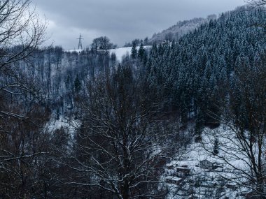 Beyaz karla kaplı ladin ormanı Puslu kış Karpat Dağları manzaralı. Karpatlar 'da sisli karlı çam ağaçları. Transcarpathia Ukrayna 'daki Manzaralı Ahşap Köy