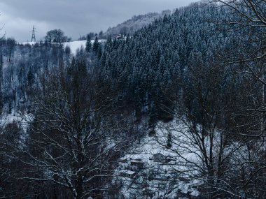 Beyaz karla kaplı ladin ormanı Puslu kış Karpat Dağları manzaralı. Karpatlar 'da sisli karlı çam ağaçları. Transcarpathia Ukrayna 'daki Manzaralı Ahşap Köy