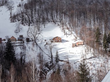 Transcarpathia Ukrayna, Avrupa 'da ahşap evleri olan bir köy. Beyaz karla kaplı ladin ormanı. Karpat Dağları manzaralı Karpatlar Karpatlar 'da karlı çam ağaçları güneşli bir gün