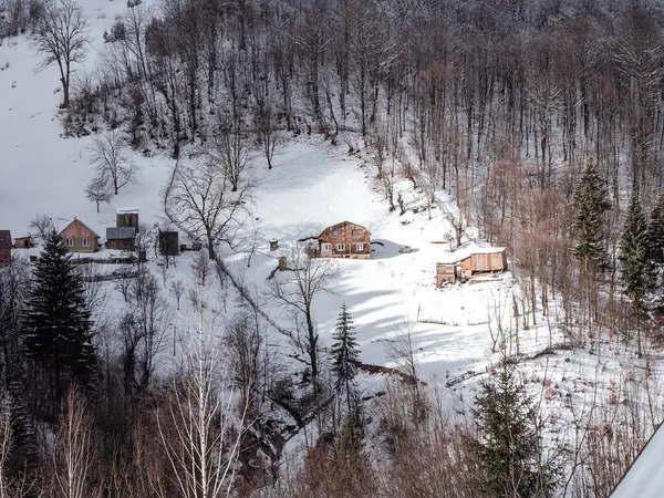 Transcarpathia Ukrayna, Avrupa 'da ahşap evleri olan bir köy. Beyaz karla kaplı ladin ormanı. Karpat Dağları manzaralı Karpatlar Karpatlar 'da karlı çam ağaçları güneşli bir gün
