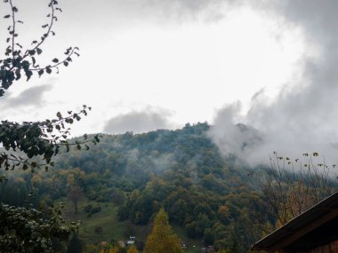Karpat Dağları 'nın puslu ve sisli manzarası. Transcarpathia bölgesindeki köy, gür yapraklı sisli çam ağaçları orman manzaralı Ukrayna, Avrupa. Sonbahar kırsal Eko Yerel Turizmi