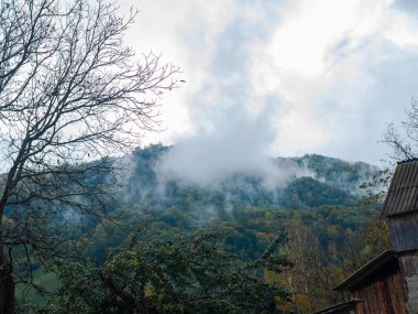 Karpat Dağları 'nın puslu ve sisli manzarası. Transcarpathia bölgesindeki köy, gür yapraklı sisli çam ağaçları orman manzaralı Ukrayna, Avrupa. Sonbahar kırsal Eko Yerel Turizmi