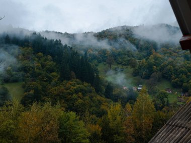 Karpat Dağları 'nın puslu ve sisli manzarası. Transcarpathia bölgesindeki köy, gür yapraklı sisli çam ağaçları orman manzaralı Ukrayna, Avrupa. Sonbahar kırsal Eko Yerel Turizmi