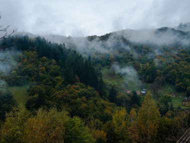 Karpat Dağları 'nın puslu ve sisli manzarası. Transcarpathia bölgesindeki köy, gür yapraklı sisli çam ağaçları orman manzaralı Ukrayna, Avrupa. Sonbahar kırsal Eko Yerel Turizmi