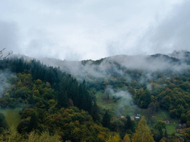 Karpat Dağları 'nın puslu ve sisli manzarası. Transcarpathia bölgesindeki köy, gür yapraklı sisli çam ağaçları orman manzaralı Ukrayna, Avrupa. Sonbahar kırsal Eko Yerel Turizmi