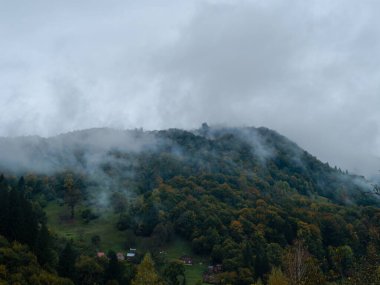Karpat Dağları 'nın puslu ve sisli manzarası. Transcarpathia bölgesindeki köy, gür yapraklı sisli çam ağaçları orman manzaralı Ukrayna, Avrupa. Sonbahar kırsal Eko Yerel Turizmi