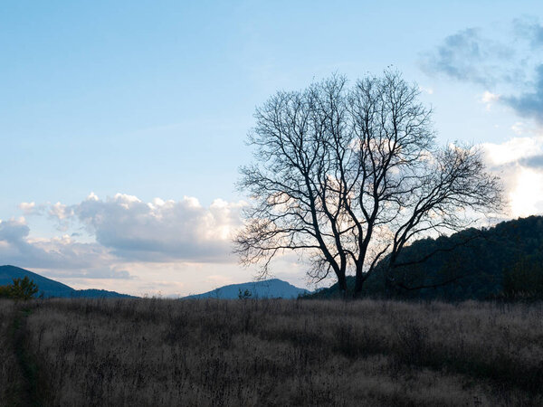 Evening village in Transcarpathia region scenic Carpathian mountains view Ukraine, Europe. Autumn countryside landscape fall spruce pine trees Eco Local tourism hiking Recreational activities Vacation