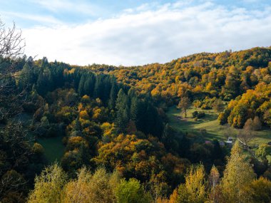 Transcarpathia Köyü manzaralı Karpatlar Ukrayna, Avrupa 'ya bakar. Sonbahar kırsal arazisi. Sonbahar çam ağaçları yemyeşil yeşillik, Eko Yerel Turizm Yürüyüş Bölgesi