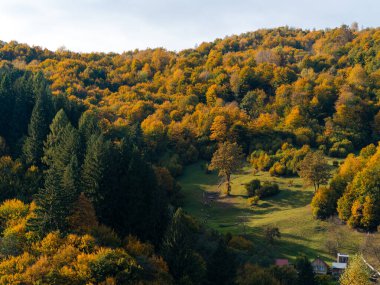 Transcarpathia Köyü manzaralı Karpatlar Ukrayna, Avrupa 'ya bakar. Sonbahar kırsal arazisi. Sonbahar çam ağaçları yemyeşil yeşillik, Eko Yerel Turizm Yürüyüş Bölgesi