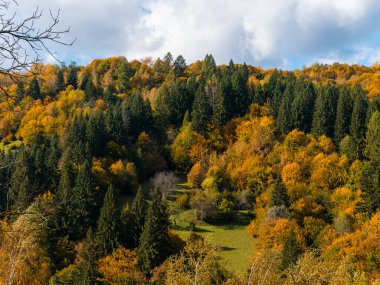 Transcarpathia Köyü manzaralı Karpatlar Ukrayna, Avrupa 'ya bakar. Sonbahar kırsal arazisi. Sonbahar çam ağaçları yemyeşil yeşillik, Eko Yerel Turizm Yürüyüş Bölgesi