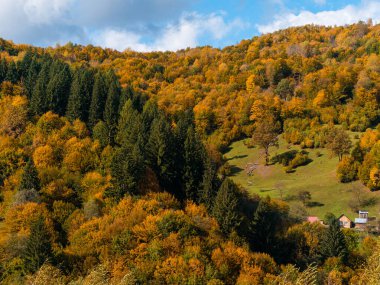 Transcarpathia Köyü manzaralı Karpatlar Ukrayna, Avrupa 'ya bakar. Sonbahar kırsal arazisi. Sonbahar çam ağaçları yemyeşil yeşillik, Eko Yerel Turizm Yürüyüş Bölgesi