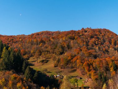Transcarpathia Köyü manzaralı Karpatlar Ukrayna, Avrupa 'ya bakar. Sonbahar kırsal arazisi. Sonbahar çam ağaçları yemyeşil yeşillik, Eko Yerel Turizm Yürüyüş Bölgesi