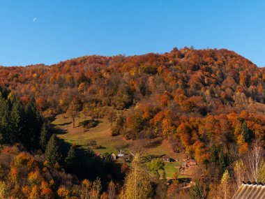 Transcarpathia Köyü manzaralı Karpatlar Ukrayna, Avrupa 'ya bakar. Sonbahar kırsal arazisi. Sonbahar çam ağaçları yemyeşil yeşillik, Eko Yerel Turizm Yürüyüş Bölgesi