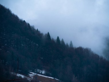 Karpat Dağları 'nın puslu ve sisli manzarası. Transcarpathia bölgesindeki Foggy Spruce Ormanı 'nda beyaz bulutlar, koyu yeşil çam ağaçları, Avrupa manzarası. Soğuk kış kırsalında akşam.