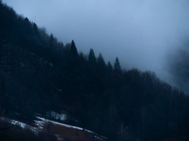 Karpat Dağları 'nın puslu ve sisli manzarası. Transcarpathia bölgesindeki Foggy Spruce Ormanı 'nda beyaz bulutlar, koyu yeşil çam ağaçları, Avrupa manzarası. Soğuk kış kırsalında akşam.