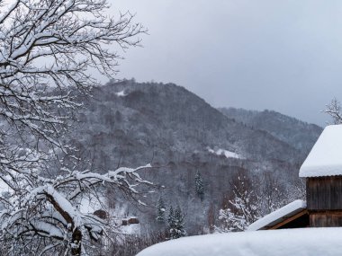 Karla kaplı ahşap ahır. Transcarpathia Ukrayna 'daki köy, Avrupa. Kış Karpat Dağları manzaralı manzaraya sahiptir. Karpatlar 'da soğuk sisli kar tatili.