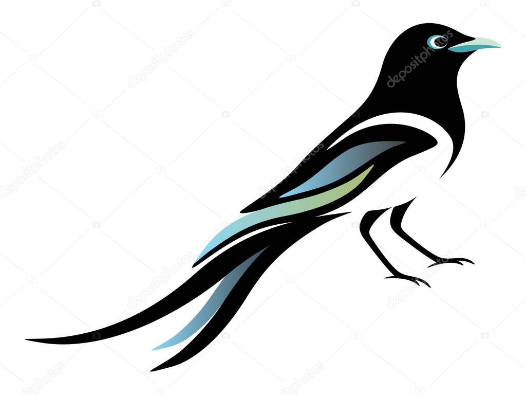 Magpie - a symbol of good luck and fortune and one of the most intelligent birds